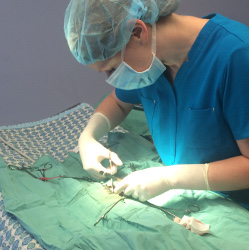 Dr. Melissa Moore in surgery